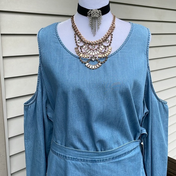 Cute Denim Dress by Express - Picture 2 of 16